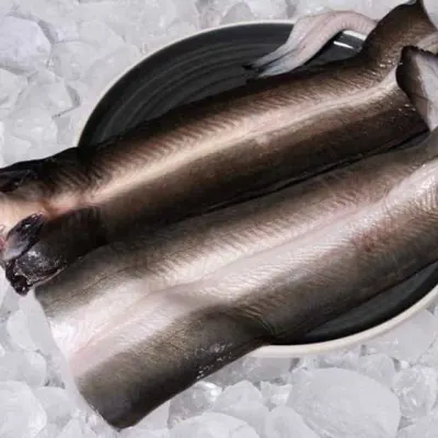자포니카 민물장어 실속형 2kg 민물장어생물 손질장어 손질민물장어