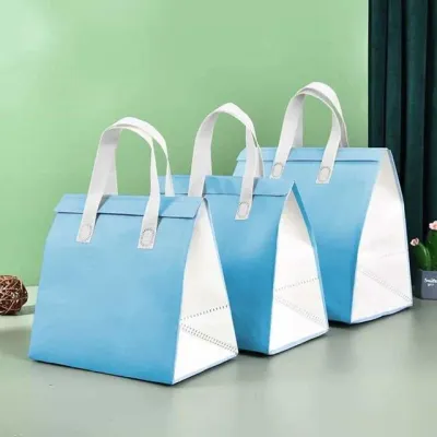 모노리빙 부직포 냉온 쇼핑백가방 파랑 소(22.5x14x26cm) 미니보냉가방 손잡이보냉백