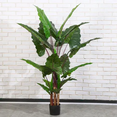 칼라테아나무 조화(170cm)