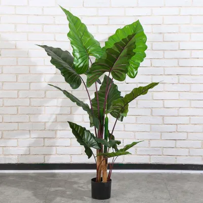 칼라테아나무 조화(120cm)
