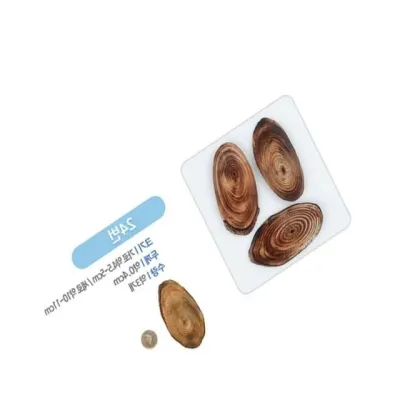 2000나무조각  나무조각놀이 나무공예 목공예재료