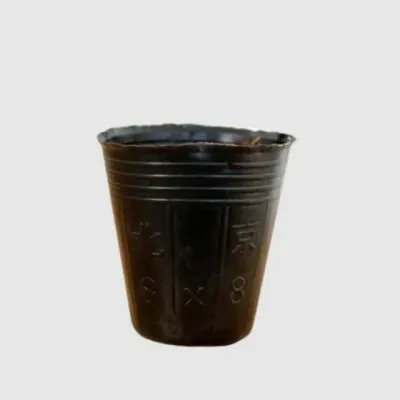 플라스틱 다육 화분 8호 8x8 비닐화분 포트묘