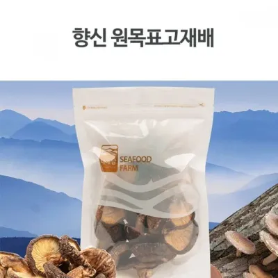 표고버섯 목이버섯 능이 새송이 느타리