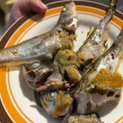 냉동 도루묵 1kg 냉동수산물 급냉도루묵