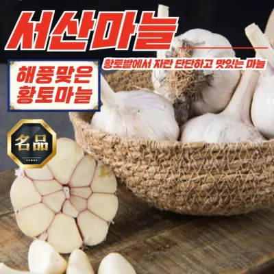 충남 서산 황토밭 대서마늘 중 10kg