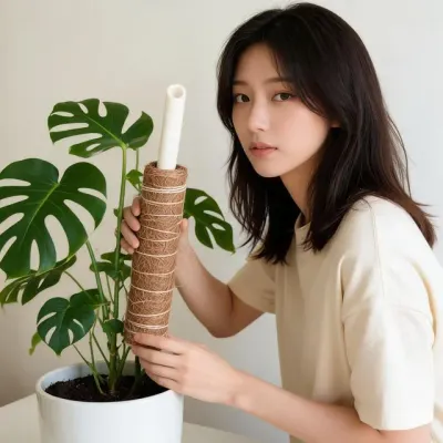 수태봉 원예 지주대 식물 지지대 인테리어 가드닝 홈가드닝 소품 60cm