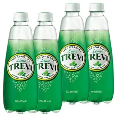 롯데 트레비 라임 300ml x 40PET (20펫x2박스)