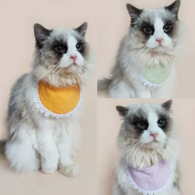 반려동물 케이프 턱받이 강아지 고양이 목장식