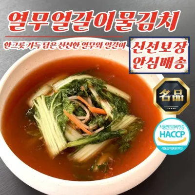 전남 무안 아삭식감 열무얼갈이물김치 10kg (100% 국산재료)