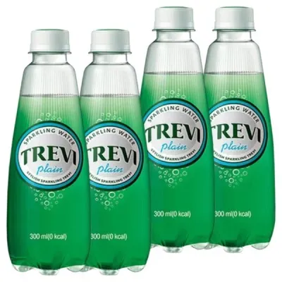 롯데 트레비 플레인 300ml x 40PET (20펫x2박스)