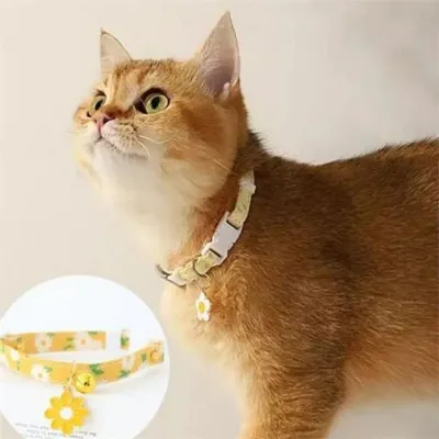 강아지 꽃 목줄 고양이 꽃 목걸이 소형견 방울 데이지 인식 반려동물 목도리
