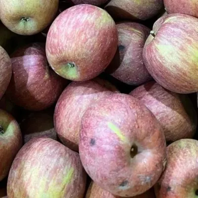 주스용 사과 10kg 흠과사과 갈아먹는사과 쥬스용사과