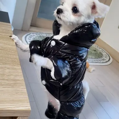 강아지 겨울 방한 패딩 애견 점퍼