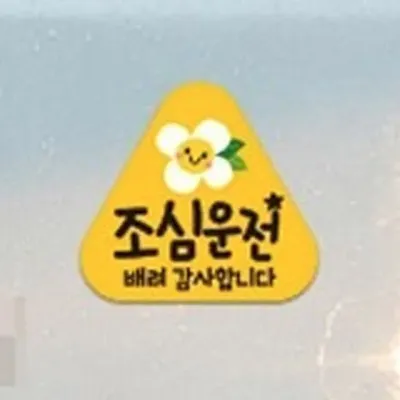 차량용 스티커 조심 초보운전 자석식 탈부착 귀여운 14cm 초강력자석 도로연수 반사스티커
