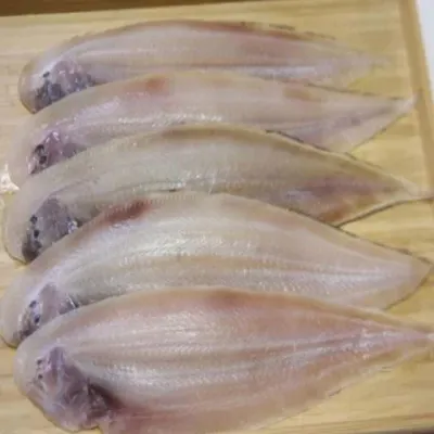 반건조 박대 15미 대 건조생선 박대생선