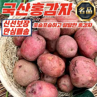 [푸디픽] 국내산 홍감자 (대) 10kg