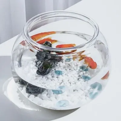둥근 어항 플라스틱 원형 구피 12.5x10cm 키우기 베타 미니