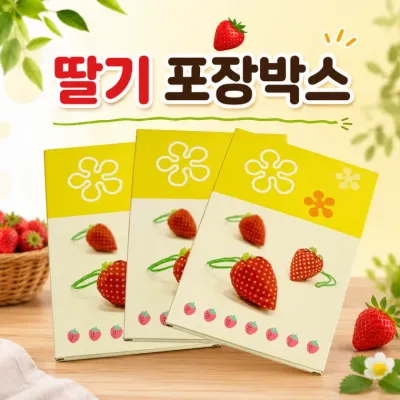 [딸기 포장박스]딸기 포장상자 선물용 박스 지함 케이스 수건 상자 포장용기 낱개 포장박스