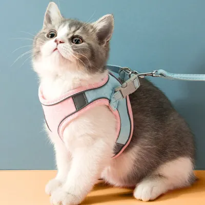 반려동물 빛반사 하네스+리드줄(M) 고양이 야간하네스