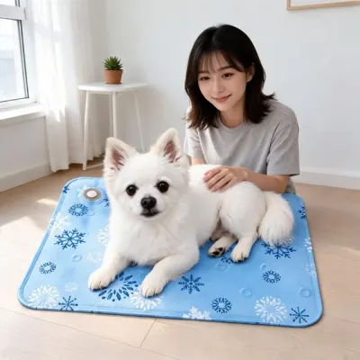 여름 냉감 침대 바닥 거실 방석 반려동물 쿨링 2컬러