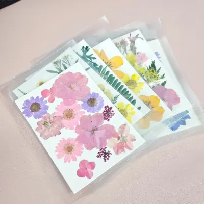 압화 드라이플라워 컬러믹스 압화꽃 생화 잎 누름꽃