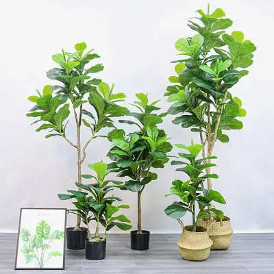 떡갈잎 고무나무 조화(180cm)