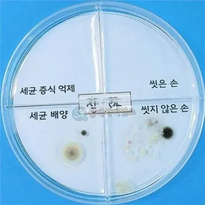 과학 학습 키트 세균 배양 키트 어린이 미생물 초등 교과 증식 억제 활동 학생