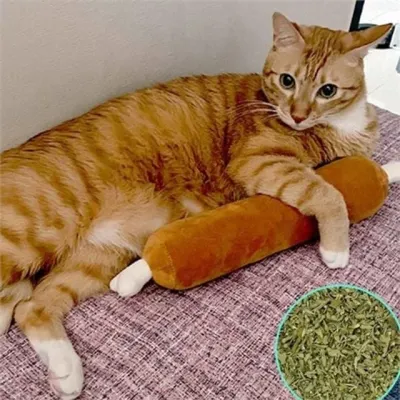 고양이 캣닢 인형 고양이 봉제 장난감 애착 스트레스 바베큐 토이 해소 치석 제거