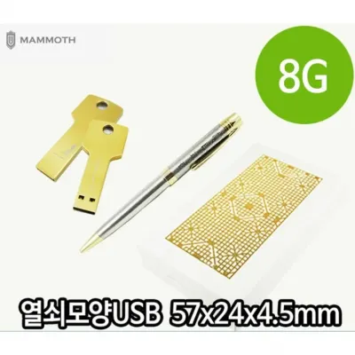 USB 열쇠 모양 메모리 볼펜 세트 8G 포장 훈민정음