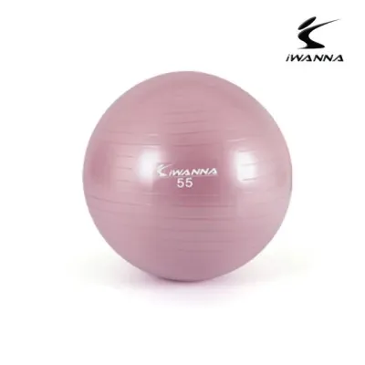 안티버스트 짐볼 55cm 와일드 핑크