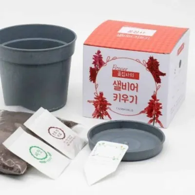 식물 키우기 화분 세트 재배 화분 식물 재배 씨앗 포함