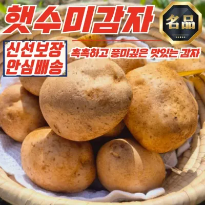 국내산 포슬포슬 햇수미감자 10kg (중)