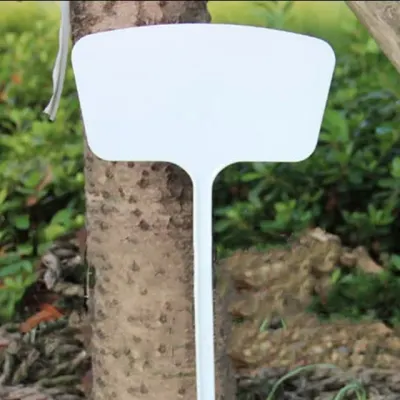 식물 이름표 나무 화단 식물원 네임택 대형 45cm 10개입 네임픽 라벨 네임텍