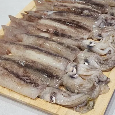 VDD 총알 오징어 1kg x 1팩