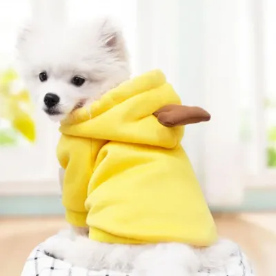 귀여운 강아지옷 고양이옷 반려동물 애견옷 과일옷 바나나 XL