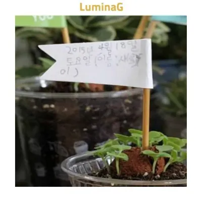 그림 씨앗깃발 화분픽 장식 팻말 꽃씨 씨드볼 시드볼 꽃씨앗