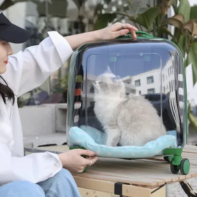 마이펫 투명 캐리어 이동가방03
