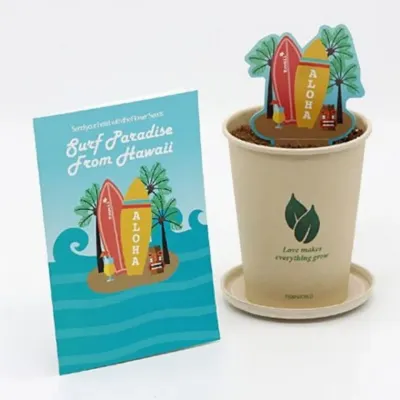 하와이 허브 식물 키우기 씨앗 재배 카드 선물 11종