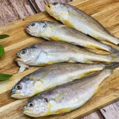 영광 굴비 1kg 영광법성포특산물 선물용영광굴비 가정용굴비세트