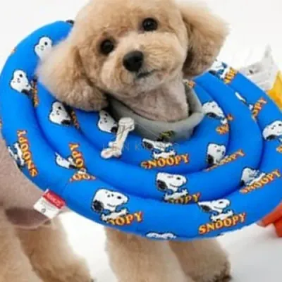 애견넥카라 블루 S 개넥카라 강아지넥카라 반려동물넥카라 강아지쿠션넥카라 강아지목카라