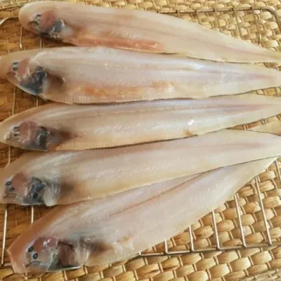 반건조 박대 5미 대 생선구이생선 건조박대 말린생선