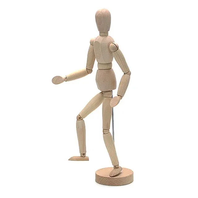 GESTALTA 예스탈타 인체모형