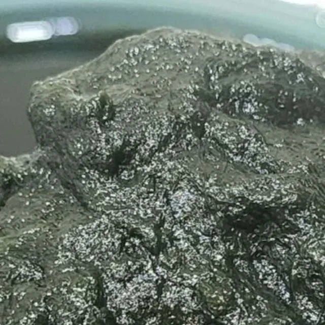 국내산 매생이 400g 10봉 제철해산물 세척매생이