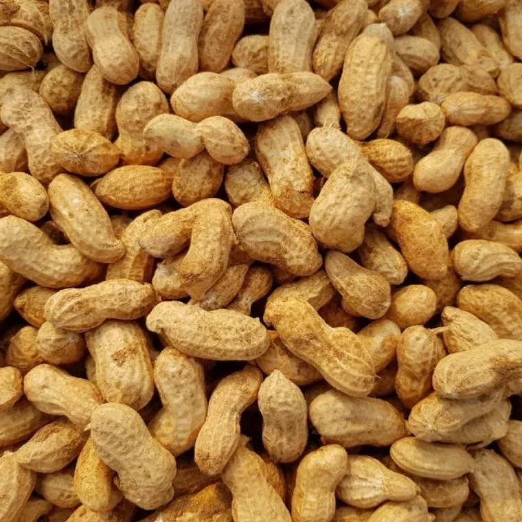국내산 땅콩 500g
