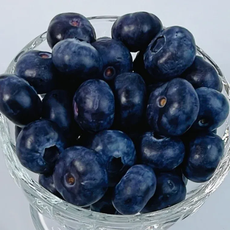 블루베리 왕특 125g 4팩