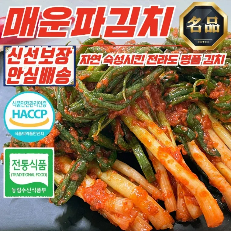 전라도 맛갈지고 화끈하게 매운 파김치 5kg