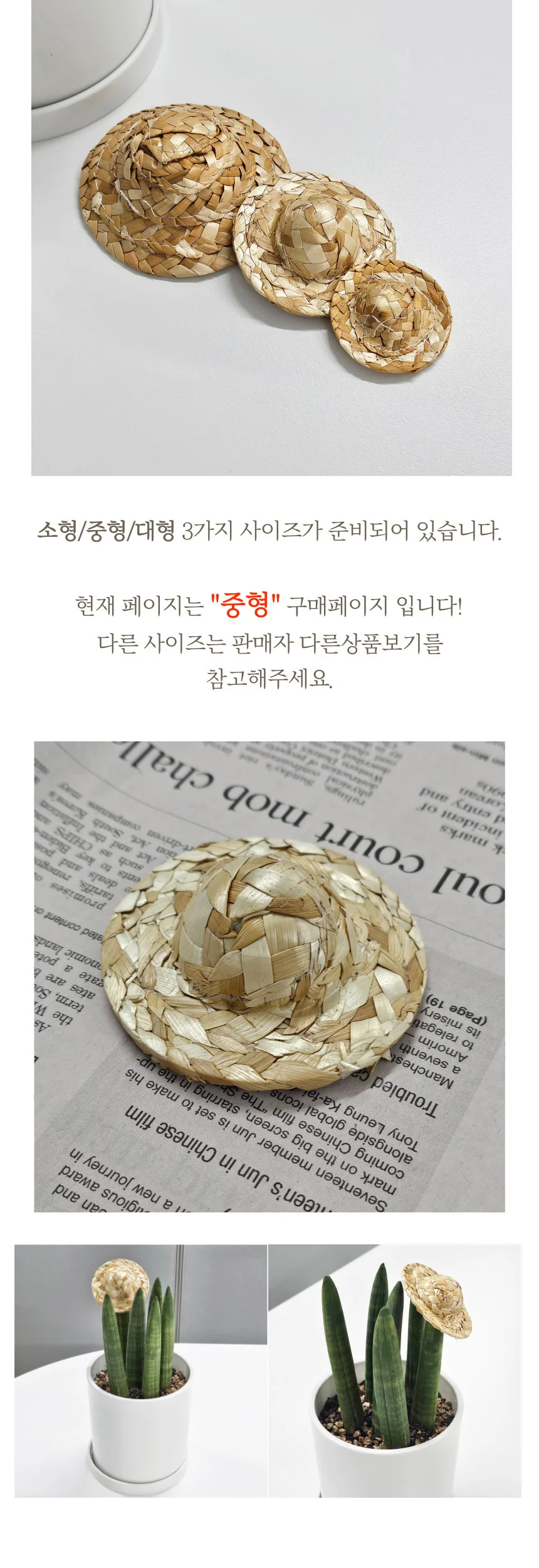 피규어 인형 선인장 스투키 장식 미니 밀짚모자 중형 상세5