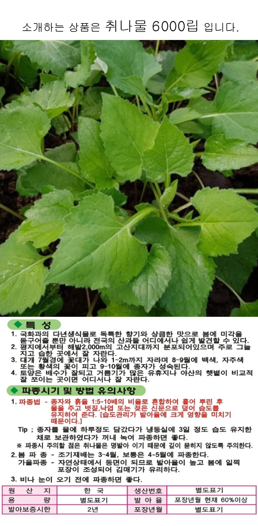 국산 취나물 식물 씨앗 품종 종자 6000립 상세1