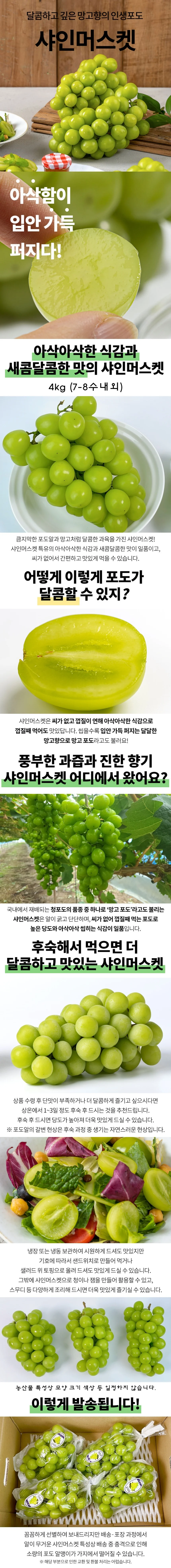샤인머스켓 4kg 상세1