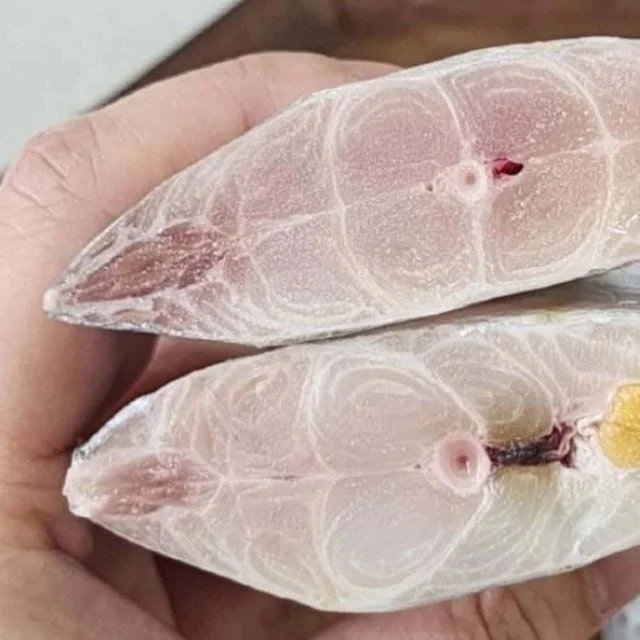 갈치 왕특대 500g 토막갈치 대왕갈치